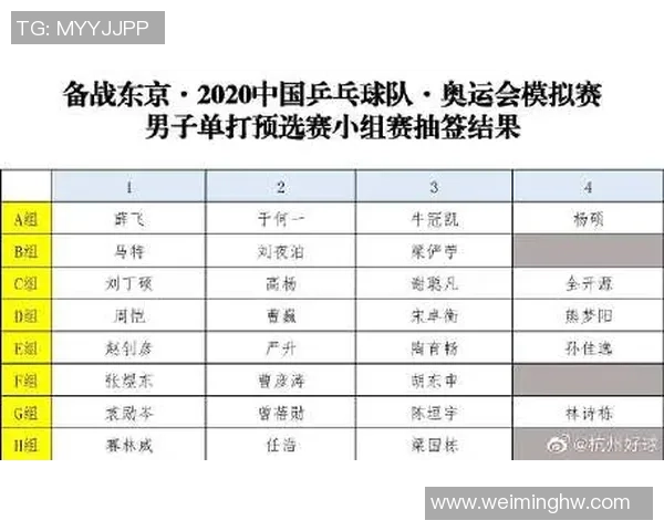 杭州乒乓球队意识对比深度解析与发展趋势探讨