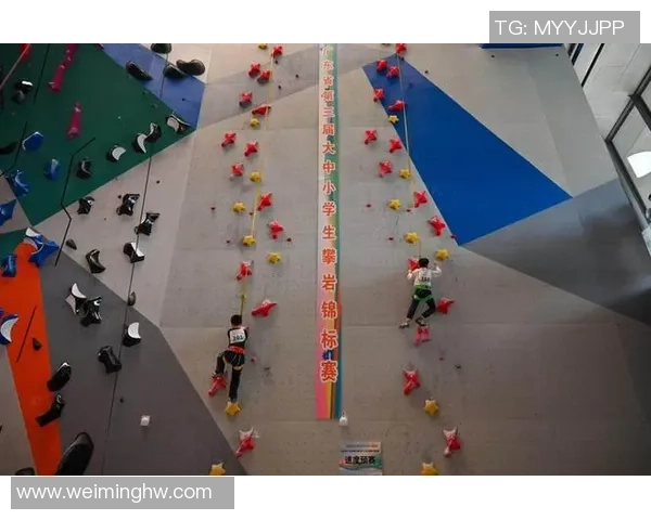 深圳攀岩队表现突出最新攀岩状态TOP10榜单揭晓 深圳攀岩队表现突出最新攀岩状态TOP10榜单揭晓